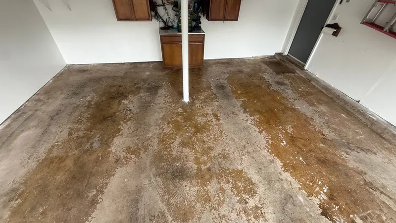Project photos